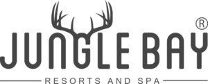 Jungle-Bay-Logo