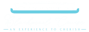 white_logo